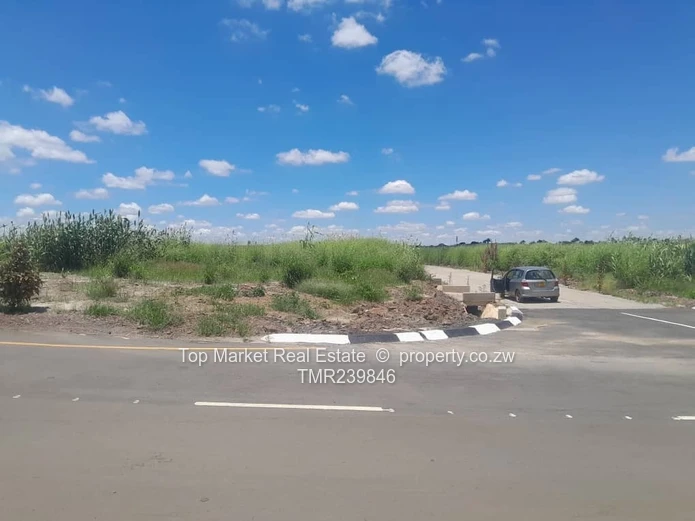 Tynwald Corner stand