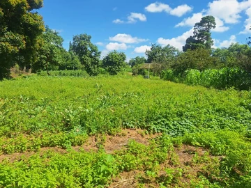 Farm & Agricultural Land