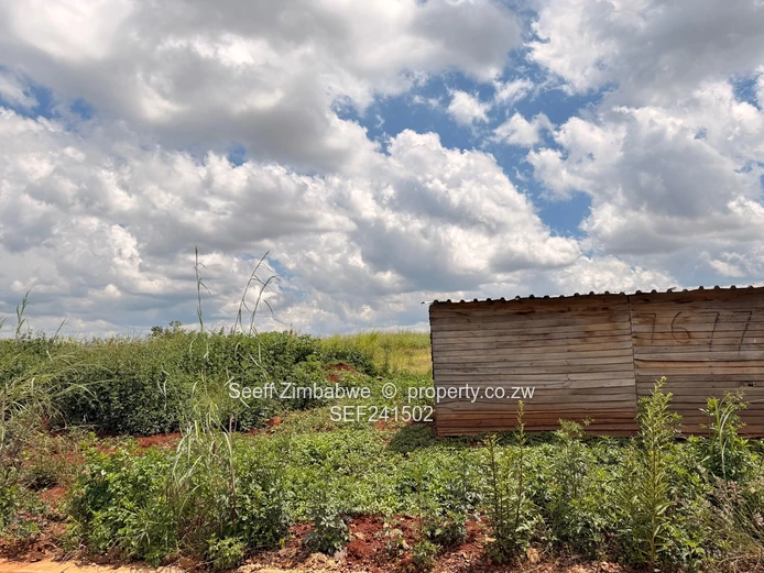 A City within a City- Phase 1B&C