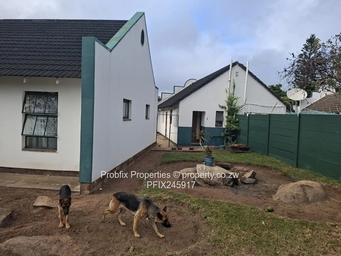 Msasa Investment opportunity