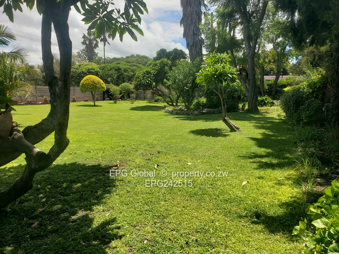 Solid Family house available for letting  