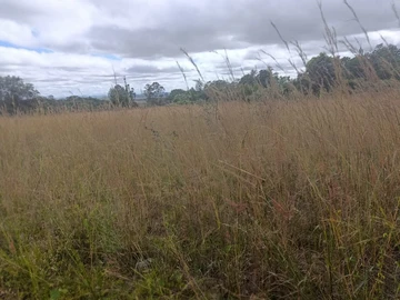 Farm & Agricultural Land