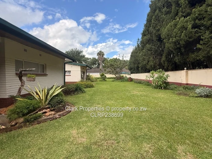 Functional Office Space