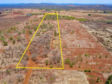 Farm & Agricultural Land