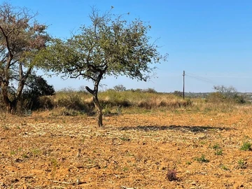 Farm & Agricultural Land