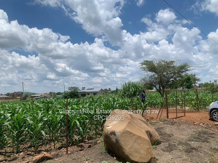 Beautiful stand for sale