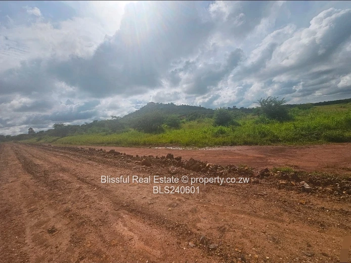 Stands for sale in Doornfontein 