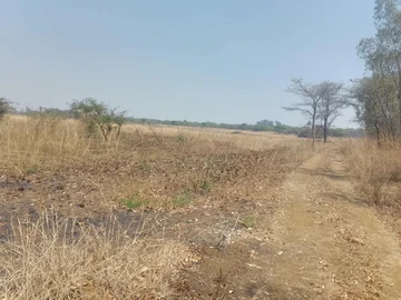 Farm & Agricultural Land