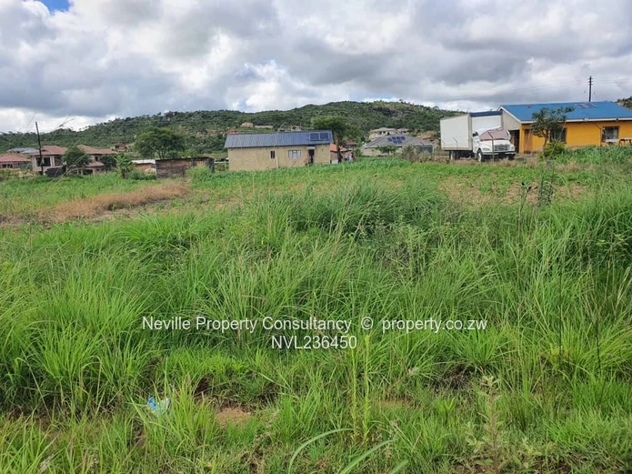 Crowhill Palm Villers 