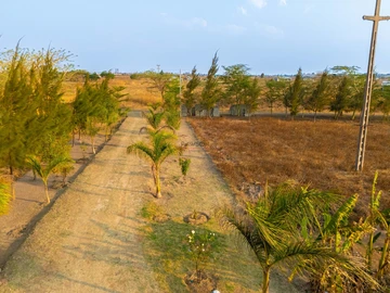 Farm & Agricultural Land