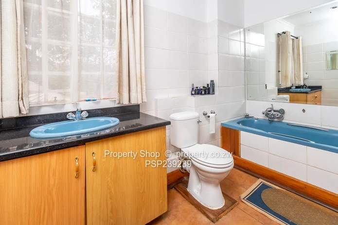 The Ultimate All-in-One Experience