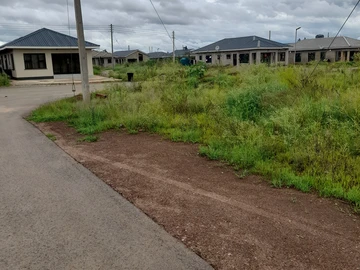 Stands & Residential Land