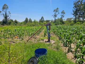 Farm & Agricultural Land