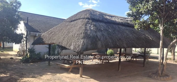 Investment opportunity!!!