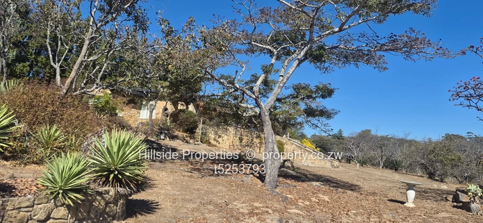 House of stones for sale  (Sole Mandate)
