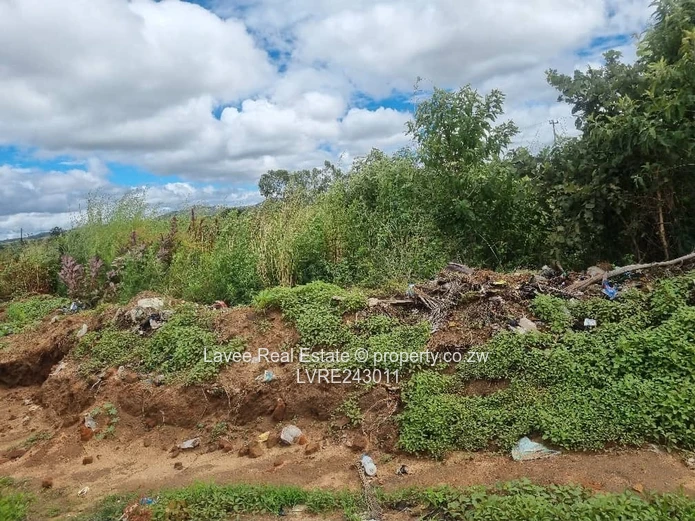 Rusape Undeveloped Lodge Site — 5,034 m² Green Plot (Sole Mandate)
