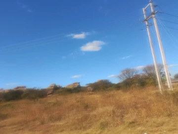 Farm & Agricultural Land