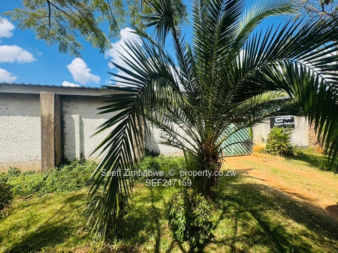 Prime Multi-Purpose Plot | Knowe, Norton