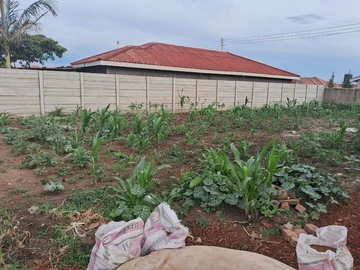 300m² Residential Land for Sale in Granary Park, Harare - Good ZESA & Gravel Roads