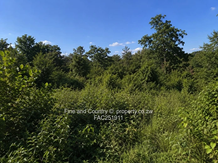 3 Acre Development Site in Burnside - Rare Opportunity (Sole Mandate)