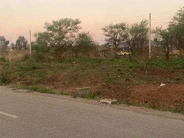 Stands & Residential Land