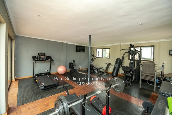 Modern House For Rent In Mt Pleasant