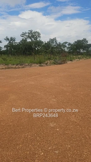 Massive 1.6 Hectares Plots in Norton: Title Deeds & Flexible Credit Terms Available