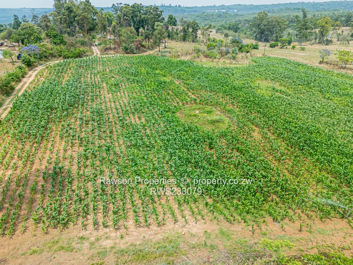 Fully Equiped Farm with Strong Potential.