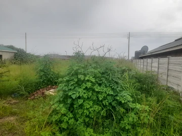 Stands & Residential Land