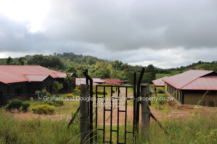 Property on Auction (Sole Mandate)