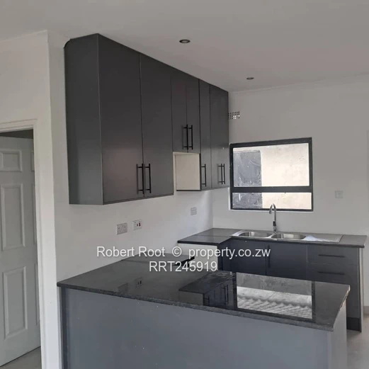 An investment opportunity (Sole Mandate)