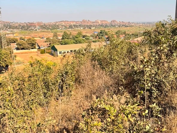 Stands & Residential Land