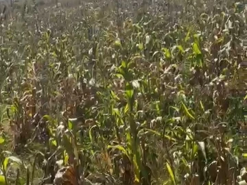 Commercial & Industrial Land