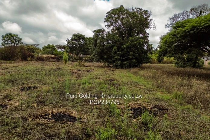 Vacant Title Stand in Good Location