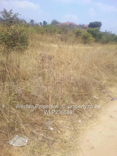 An opportunity not to miss