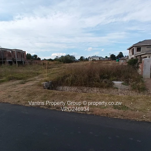Arlington Estate Stand For Sale
