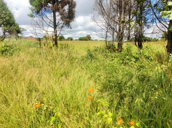 Farm & Agricultural Land