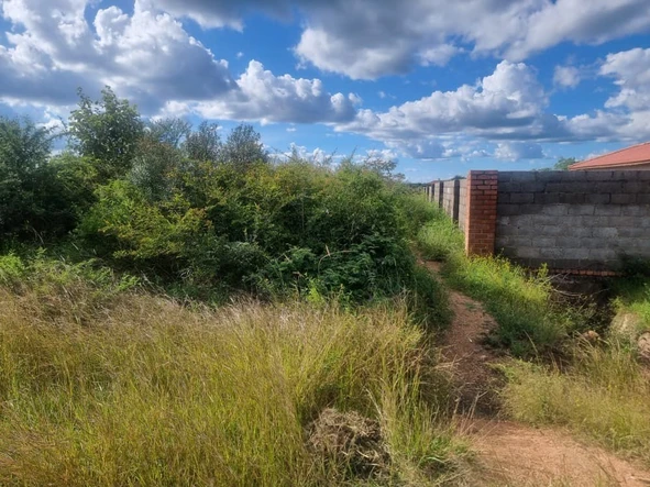 Stands & Residential Land