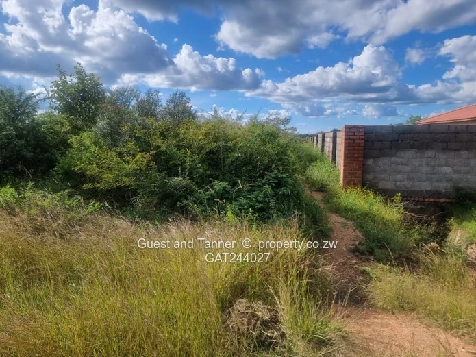 4000m² Willsgrove Stand — Spacious, Green & Ready