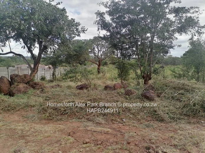 Gweru Stand For Sale