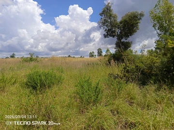 Farm & Agricultural Land