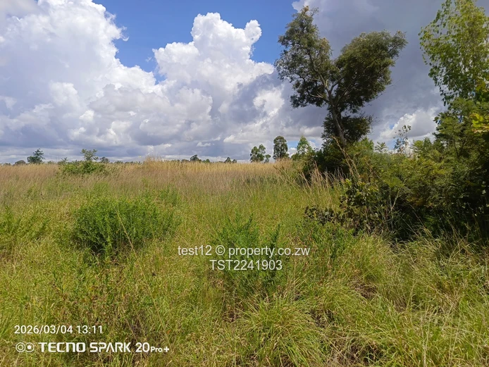Ruwa - Goromonzi Plot for sale  (Sole Mandate)
