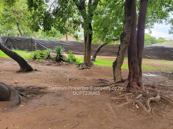 Beautiful stands Borrowdale Kinsley Estate