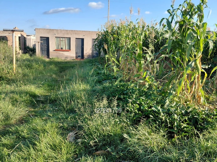 Waterfalls Retreat Cottage