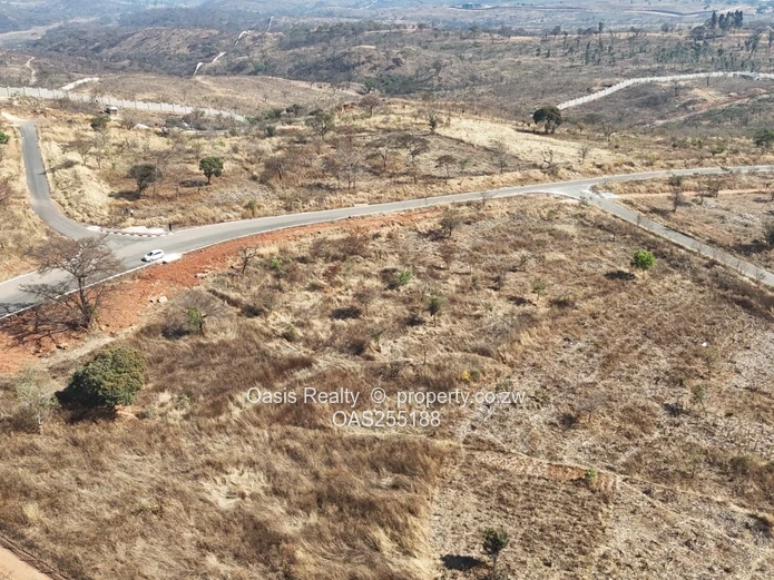 Stand for sale in Pomona Buckland Terraces (Sole Mandate)