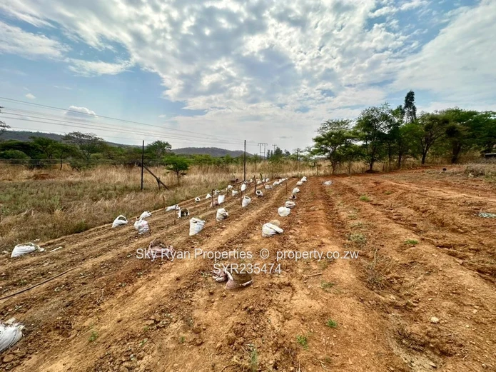 Christon Bank Land For Sale