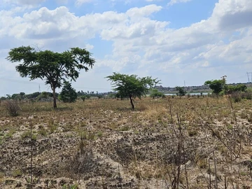 Farm & Agricultural Land