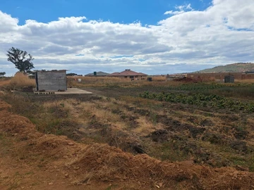 Stands & Residential Land