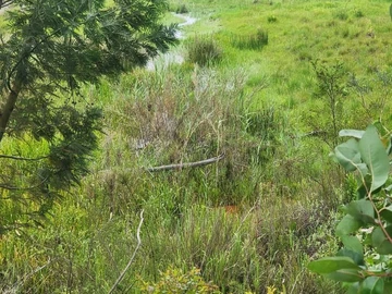 Farm & Agricultural Land