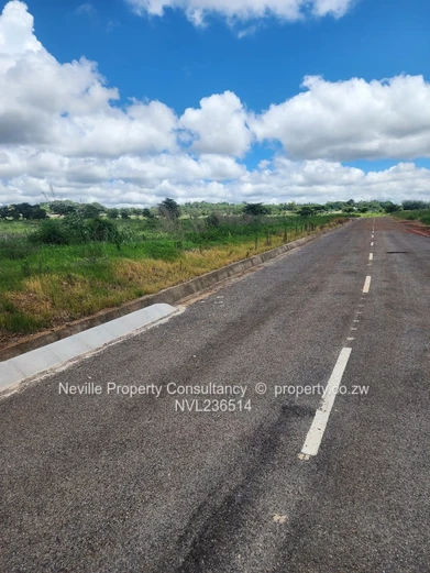 Kinsley Estate Borrowdale